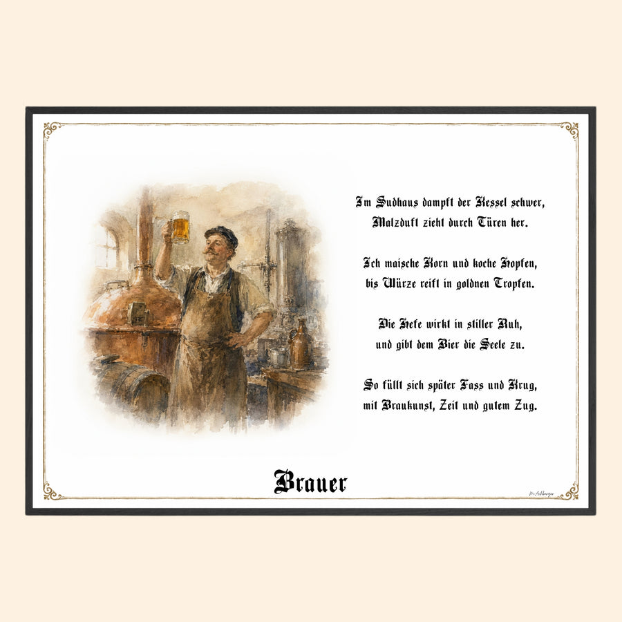 Brauer