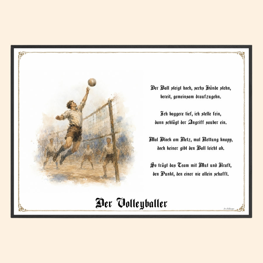 Volleyballer
